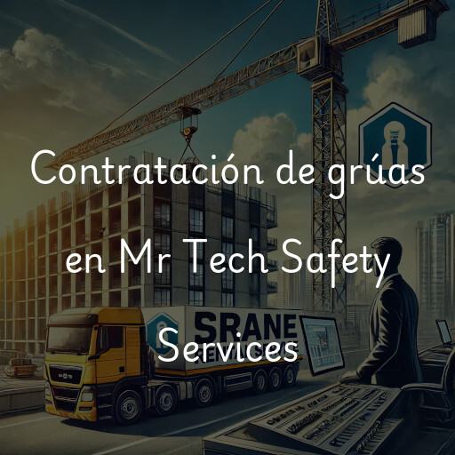 Contratación de grúas en Mr Tech Safety Services