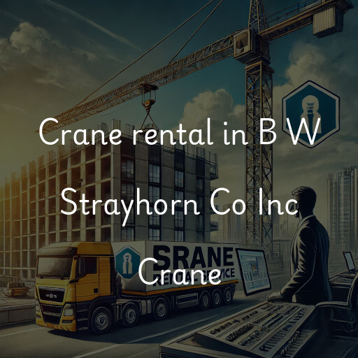 Crane rental in B W Strayhorn Co Inc Crane