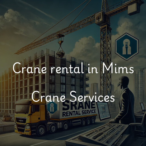 Crane rental in Mims Crane Services