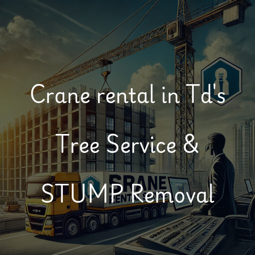 Crane rental in Td's Tree Service & STUMP Removal